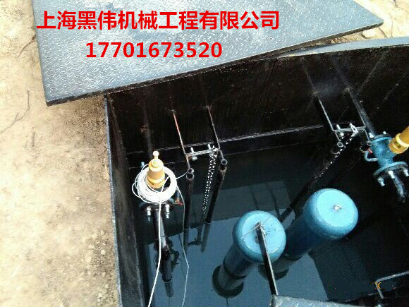 沉水式羅茨鼓麻豆黄色电影
